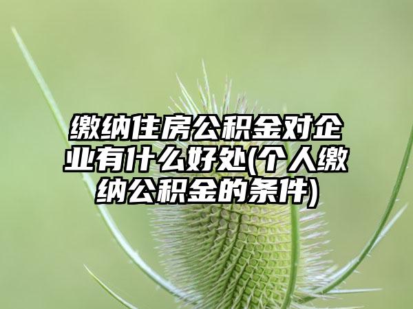 缴纳住房公积金对企业有什么好处(个人缴纳公积金的条件)-第1张图片-海印网