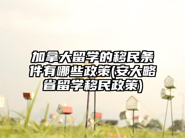 加拿大留学的移民条件有哪些政策(安大略省留学移民政策)-第1张图片-海印网