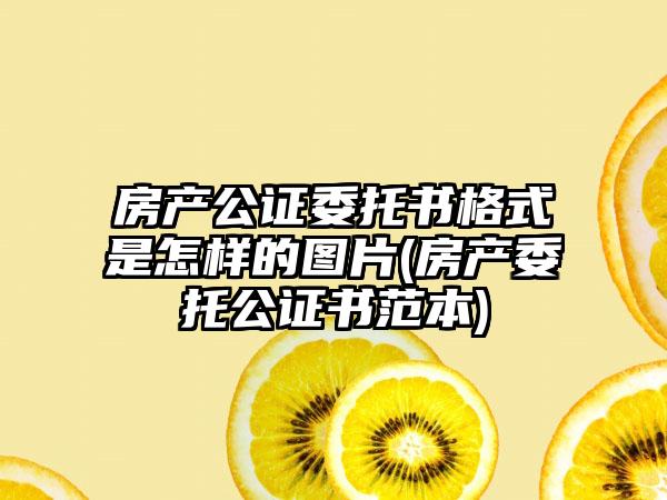 房产公证委托书格式是怎样的图片(房产委托公证书范本)-第1张图片-海印网