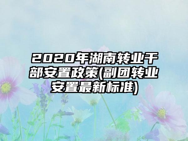 2020年湖南转业干部安置政策(副团转业安置最新标准)