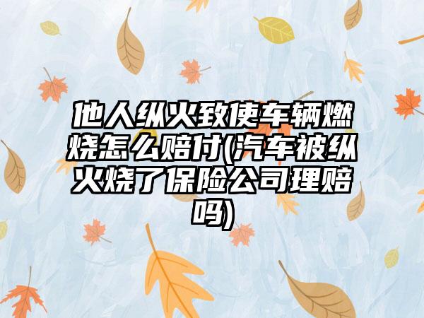 他人纵火致使车辆燃烧怎么赔付(汽车被纵火烧了保险公司理赔吗)-第1张图片-海印网