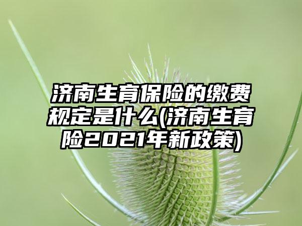 济南生育保险的缴费规定是什么(济南生育险2021年新政策)-第1张图片-海印网