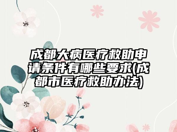 成都大病医疗救助申请条件有哪些要求(成都市医疗救助办法)-第1张图片-海印网