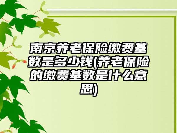 南京养老保险缴费基数是多少钱(养老保险的缴费基数是什么意思)-第1张图片-海印网