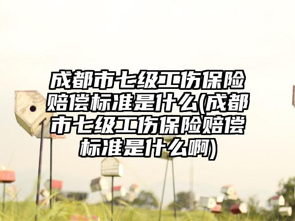 成都市七级工伤保险赔偿标准是什么(成都市七级工伤保险赔偿标准是什么啊)-第1张图片-海印网