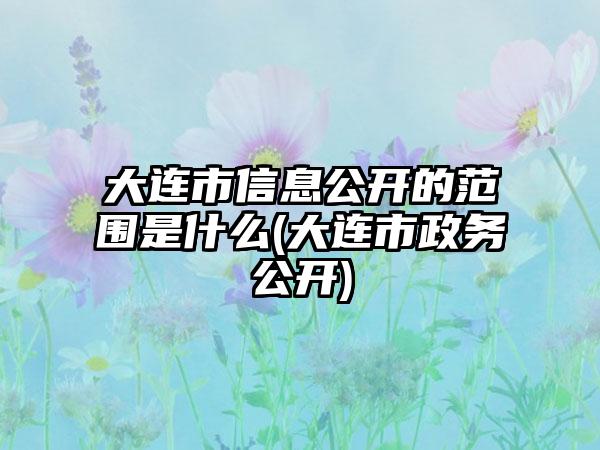 大连市信息公开的范围是什么(大连市政务公开)-第1张图片-海印网