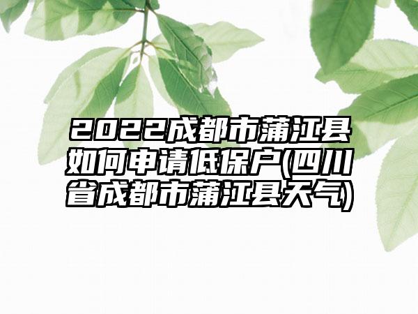 2022成都市蒲江县如何申请低保户(四川省成都市蒲江县天气)-第1张图片-海印网