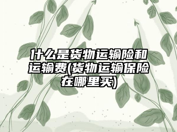 什么是货物运输险和运输费(货物运输保险在哪里买)-第1张图片-海印网