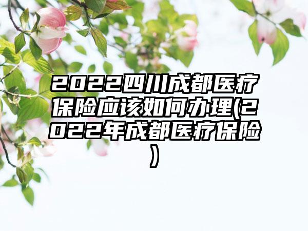 2022四川成都医疗保险应该如何办理(2022年成都医疗保险)-第1张图片-海印网