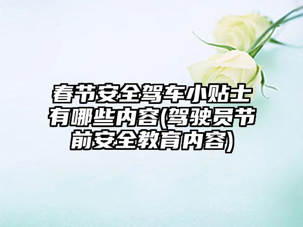 春节安全驾车小贴士有哪些内容(驾驶员节前安全教育内容)-第1张图片-海印网