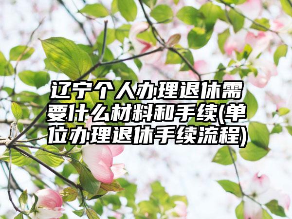 辽宁个人办理退休需要什么材料和手续(单位办理退休手续流程)-第1张图片-海印网