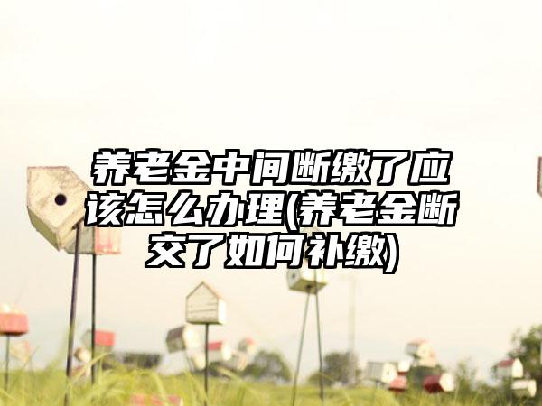 养老金中间断缴了应该怎么办理(养老金断交了如何补缴)