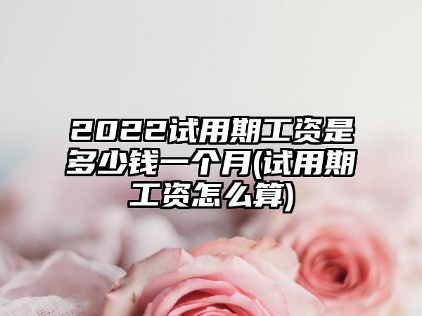 2022试用期工资是多少钱一个月(试用期工资怎么算)-第1张图片-海印网