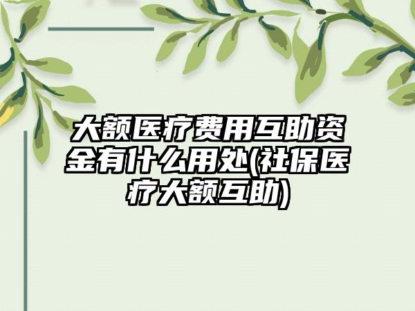 大额医疗费用互助资金有什么用处(社保医疗大额互助)-第1张图片-海印网