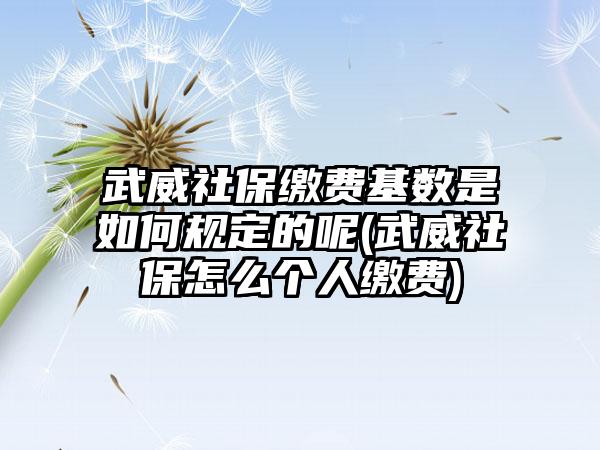 武威社保缴费基数是如何规定的呢(武威社保怎么个人缴费)