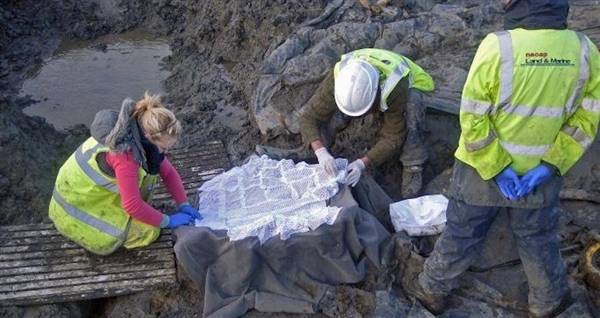 英国出土1700年前鸡蛋发现仍有蛋液：但臭气熏天-第2张图片-海印网