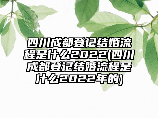 四川成都登记结婚流程是什么2022(四川成都登记结婚流程是什么2022年的)