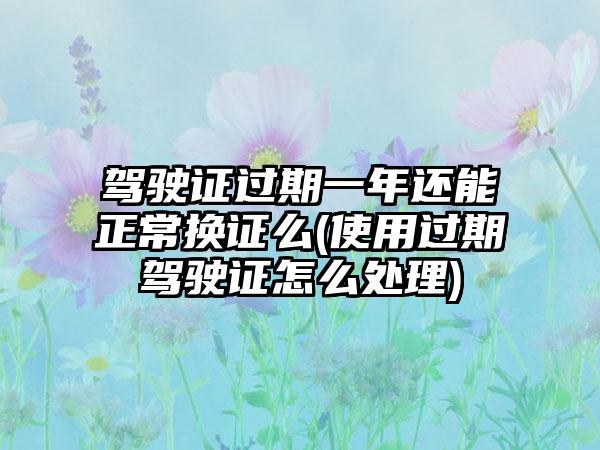 驾驶证过期一年还能正常换证么(使用过期驾驶证怎么处理)-第1张图片-海印网