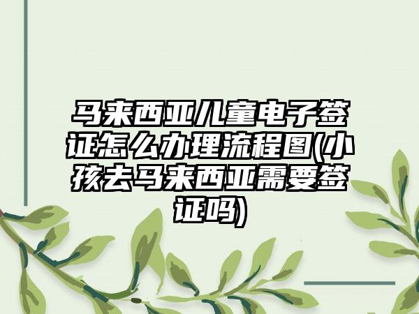 马来西亚儿童电子签证怎么办理流程图(小孩去马来西亚需要签证吗)