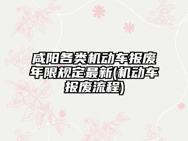 咸阳各类机动车报废年限规定最新(机动车报废流程)-第1张图片-海印网