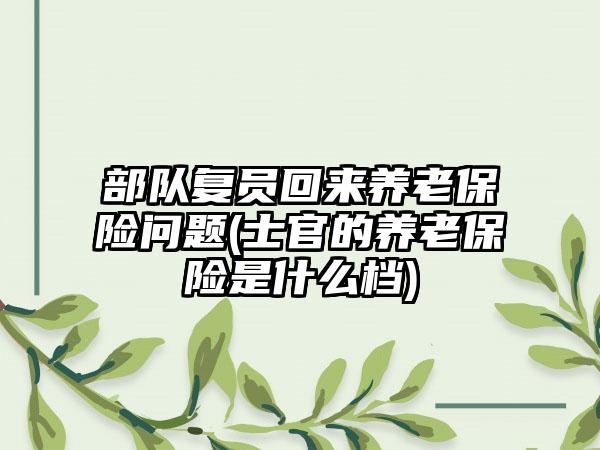 部队复员回来养老保险问题(士官的养老保险是什么档)-第1张图片-海印网