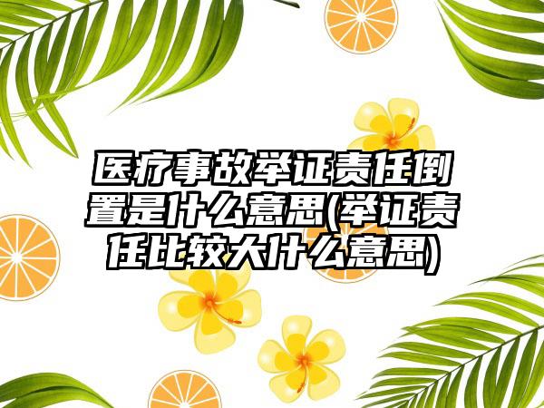 医疗事故举证责任倒置是什么意思(举证责任比较大什么意思)-第1张图片-海印网