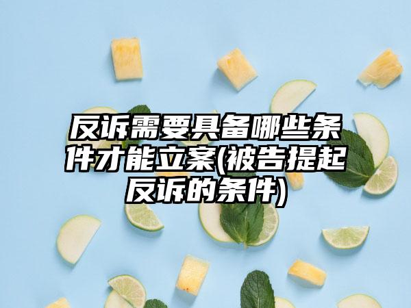 反诉需要具备哪些条件才能立案(被告提起反诉的条件)-第1张图片-海印网