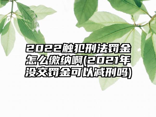 2022触犯刑法罚金怎么缴纳啊(2021年没交罚金可以减刑吗)-第1张图片-海印网