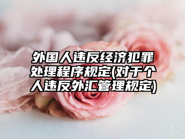 外国人违反经济犯罪处理程序规定(对于个人违反外汇管理规定)-第1张图片-海印网