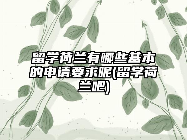 留学荷兰有哪些基本的申请要求呢(留学荷兰吧)-第1张图片-海印网