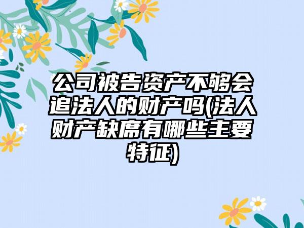 公司被告资产不够会追法人的财产吗(法人财产缺席有哪些主要特征)