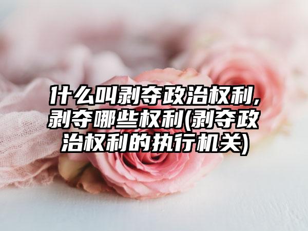 什么叫剥夺政治权利,剥夺哪些权利(剥夺政治权利的执行机关)-第1张图片-海印网