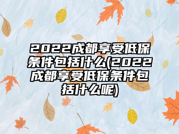 2022成都享受低保条件包括什么(2022成都享受低保条件包括什么呢)