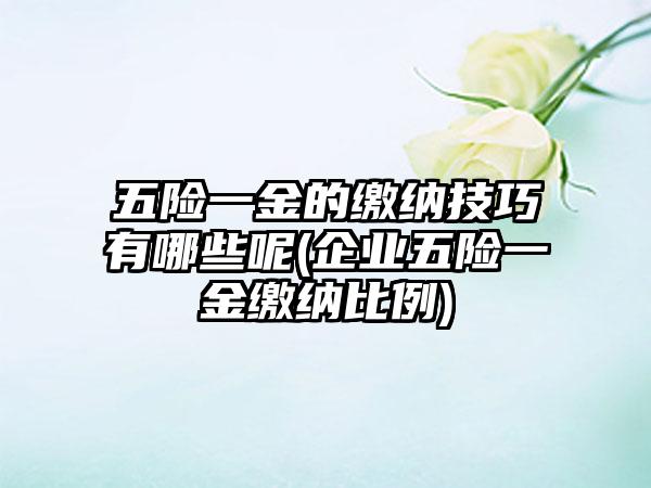 五险一金的缴纳技巧有哪些呢(企业五险一金缴纳比例)-第1张图片-海印网