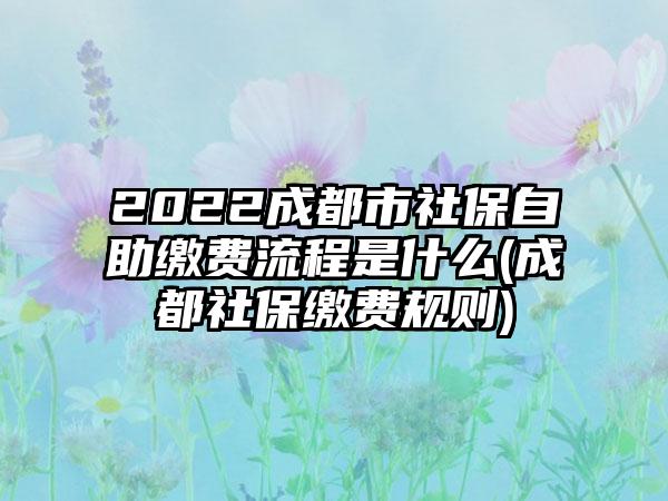 2022成都市社保自助缴费流程是什么(成都社保缴费规则)-第1张图片-海印网