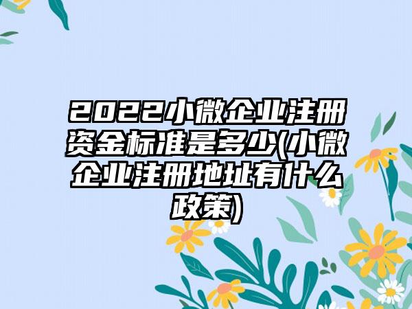 2022小微企业注册资金标准是多少(小微企业注册地址有什么政策)