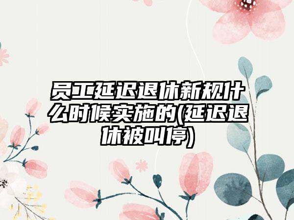 员工延迟退休新规什么时候实施的(延迟退休被叫停)