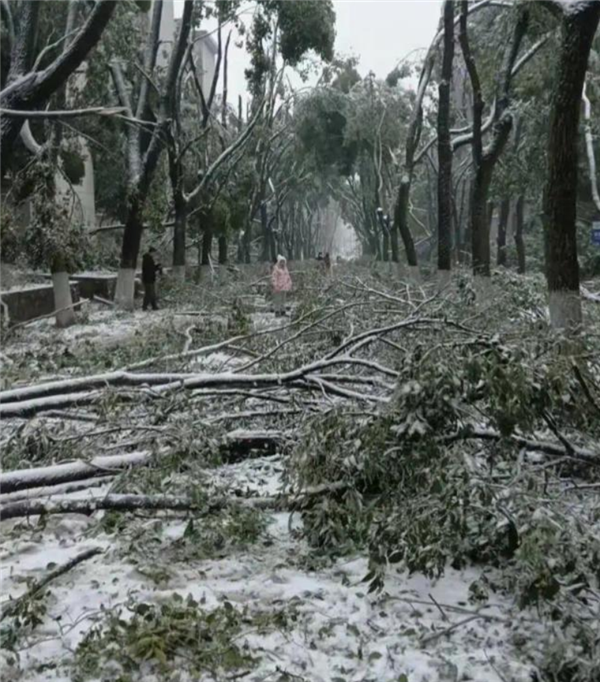 冻雨再现！武汉人醒来发现自行车座结冰：气象部门提醒-第3张图片-海印网