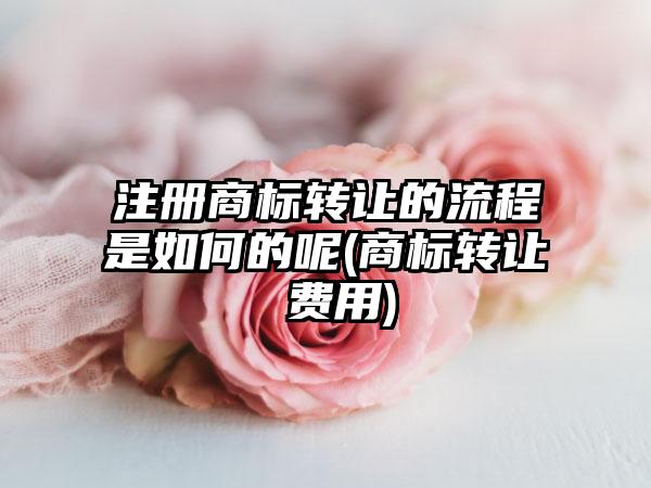 注册商标转让的流程是如何的呢(商标转让 费用)