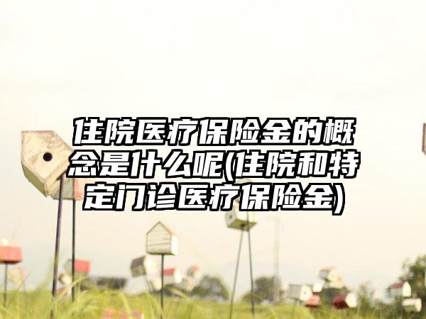 住院医疗保险金的概念是什么呢(住院和特定门诊医疗保险金)-第1张图片-海印网