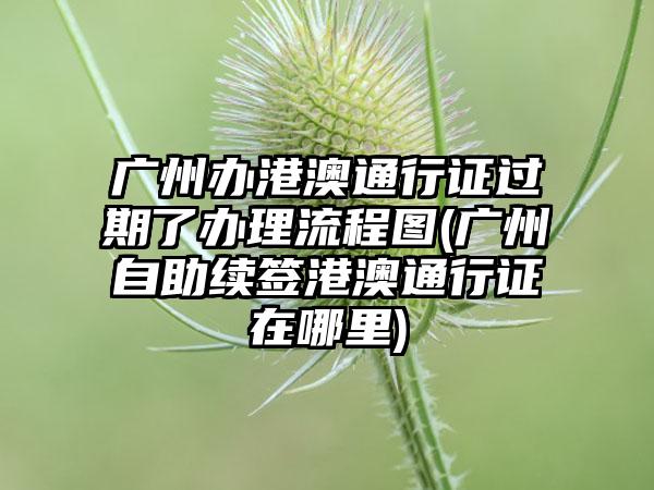 广州办港澳通行证过期了办理流程图(广州自助续签港澳通行证在哪里)