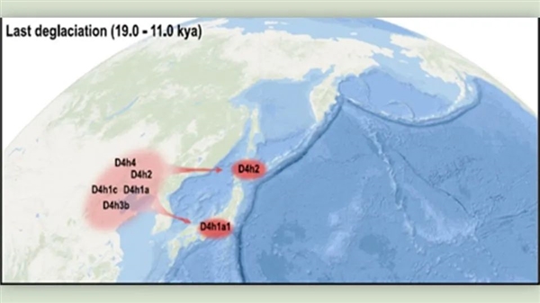 中国失传1000年的主食：现在成了“土豪米” 昂贵还得进口-第10张图片-海印网