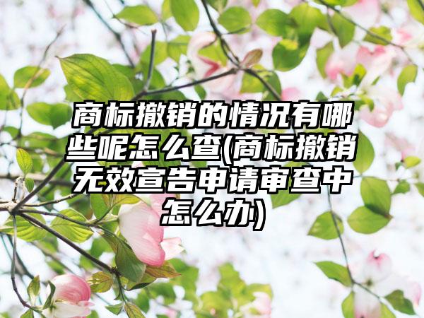 商标撤销的情况有哪些呢怎么查(商标撤销无效宣告申请审查中怎么办)