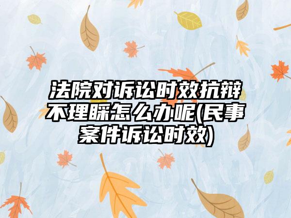 法院对诉讼时效抗辩不理睬怎么办呢(民事案件诉讼时效)-第1张图片-海印网