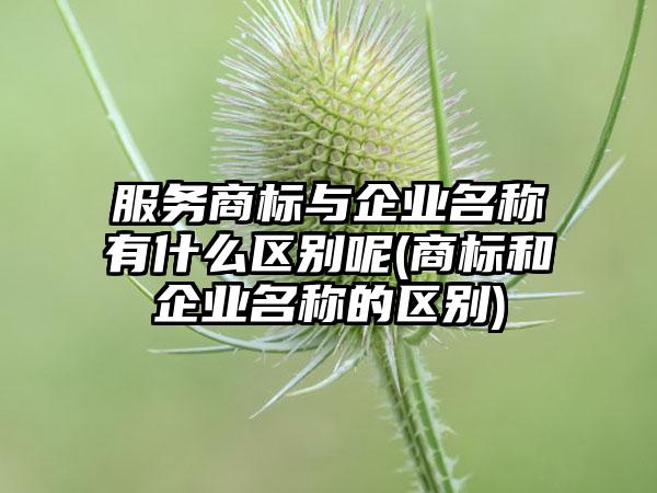 服务商标与企业名称有什么区别呢(商标和企业名称的区别)