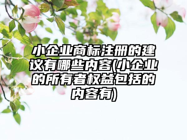 小企业商标注册的建议有哪些内容(小企业的所有者权益包括的内容有)