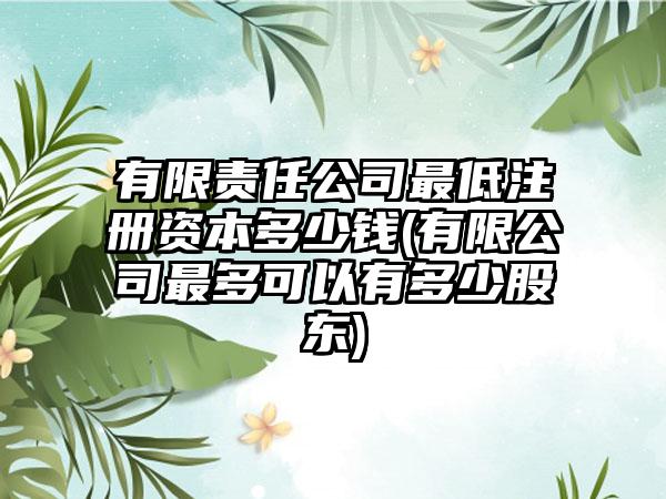 有限责任公司最低注册资本多少钱(有限公司最多可以有多少股东)