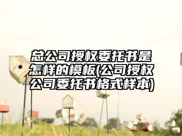 总公司授权委托书是怎样的模板(公司授权公司委托书格式样本)-第1张图片-海印网