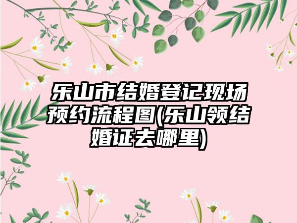 乐山市结婚登记现场预约流程图(乐山领结婚证去哪里)-第1张图片-海印网