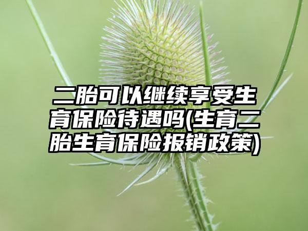 二胎可以继续享受生育保险待遇吗(生育二胎生育保险报销政策)-第1张图片-海印网